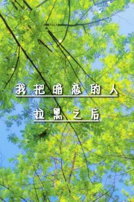 我把暗戀的人拉黑之後