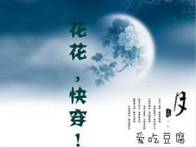 花花，快穿！
