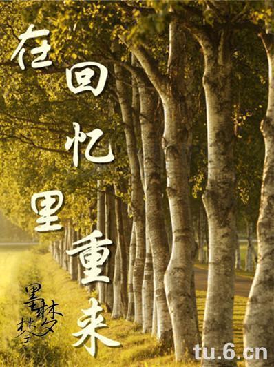 在回憶裏重來