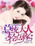 帝枭盛寵：總統大人輕點疼