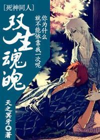 雙生魂魄 cp：白黑一護