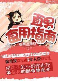 直男食用指南