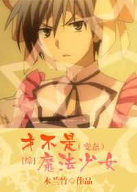 才不是魔法少女