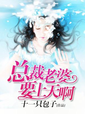 總裁老婆要上天啊