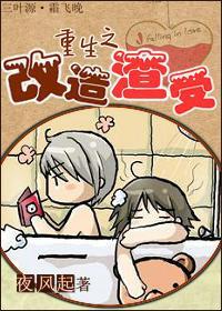 重生之改造渣受