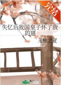 失憶後敵國皇子懷了我的崽