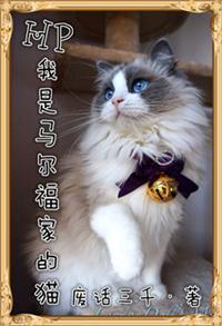 我是馬爾福家的貓
