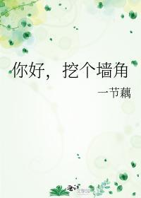 你好，挖個牆角
