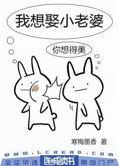 我想娶小老婆