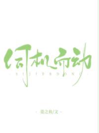 伺機而動