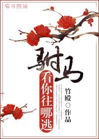 驸馬，看你往哪逃