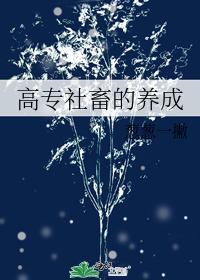 高專社畜的養成