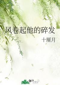 風卷起他的碎發