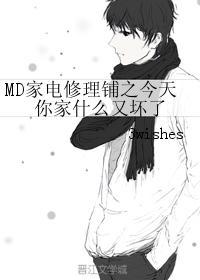 MD家電修理鋪之今天你家什麽又壞了