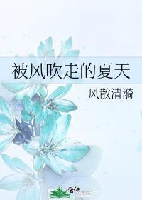 被風吹走的夏天