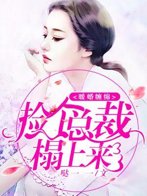 暖婚纏綿，撿個總裁榻上來