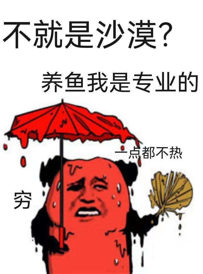 沙漠人魚飼養指南[直播]