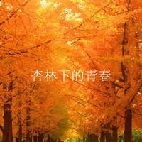 杏林下的青春