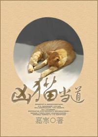 兇貓當道