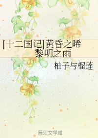 [十二國記]黃昏之晞　黎明之雨