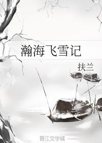 瀚海飛雪記