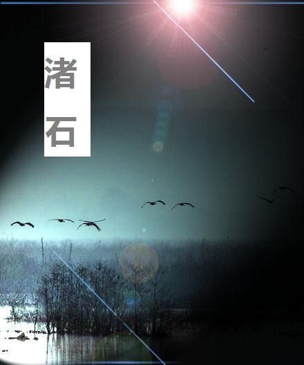 渚石