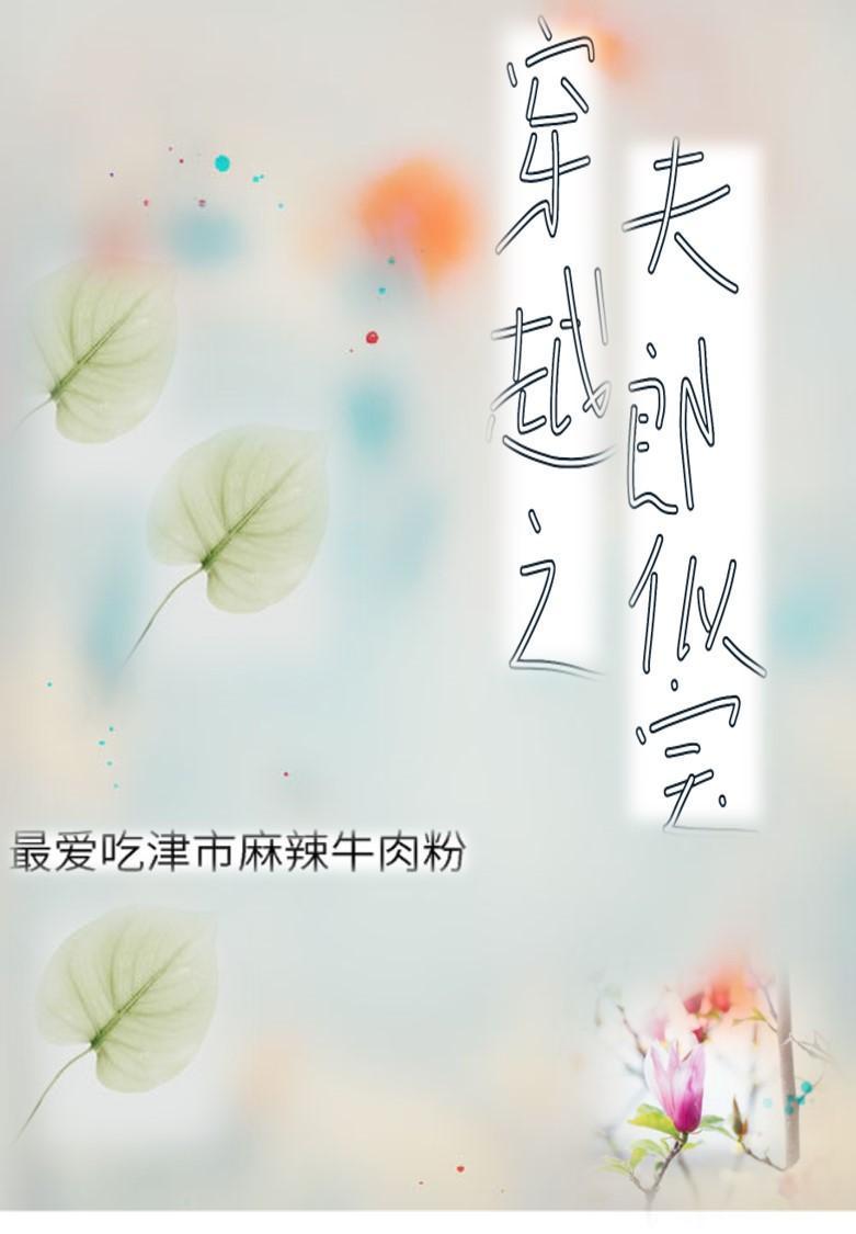 穿越之夫郎似寶