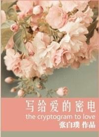 寫給愛的密電（軍旅）