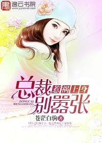 惹禍上身，總裁別嚣張淩樂樂林簫