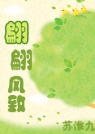 翩翩風致