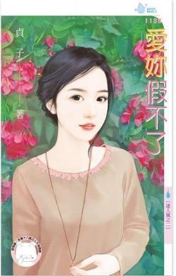 愛你假不了（達人風之二）