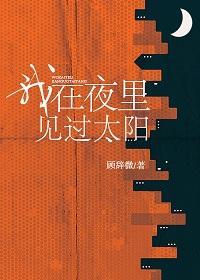 我在夜裏見過太陽