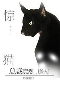 驚！野貓總裁竟然...