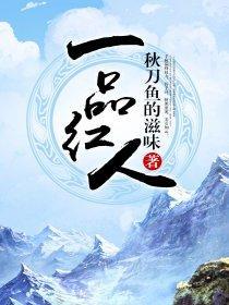一品紅人
