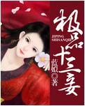 極品十三妾