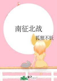 南征北戰