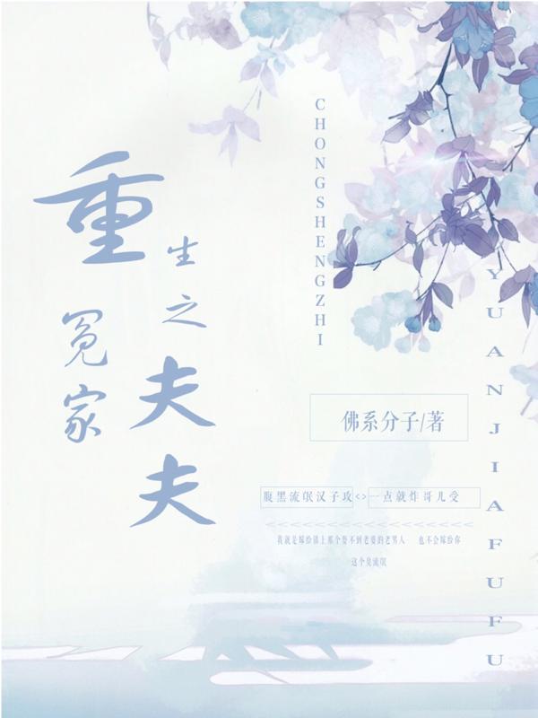 重生之冤家夫夫