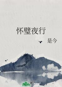 懷璧夜行
