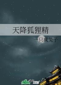 天降狐貍精