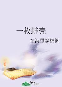 一枚蚌殼