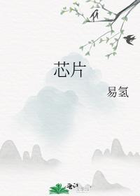 芯片
