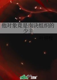 他對象竟是南訣組織的少主