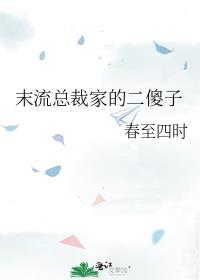 末流總裁家的二傻子
