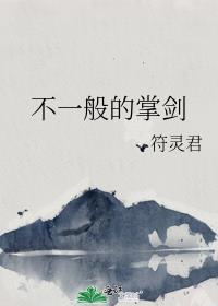 不一般的掌劍