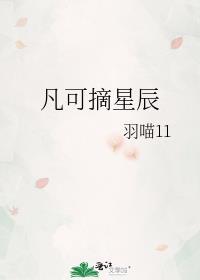 凡可摘星辰