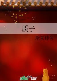質子