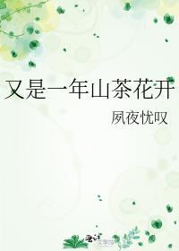 又是一年山茶花開