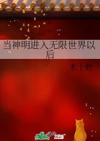 當神明進入無限世界以後