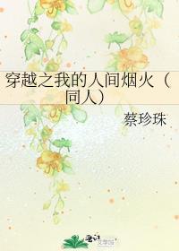 穿越之我的人間煙火（同人）