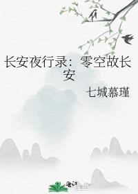 長安夜行錄：零空故長安